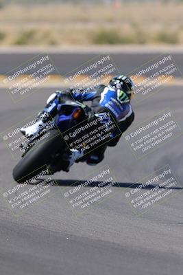 media/Oct-08-2022-SoCal Trackdays (Sat) [[1fc3beec89]]/Turn 11 Backside (1145am)/